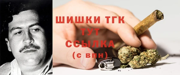 тгк Каменногорск