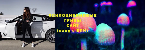 ГАЛЛЮЦИНОГЕННЫЕ ГРИБЫ Карпинск