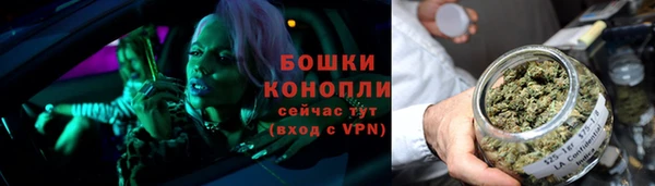 тгк Каменногорск