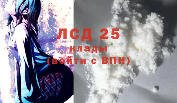 ГАЛЛЮЦИНОГЕННЫЕ ГРИБЫ Карпинск