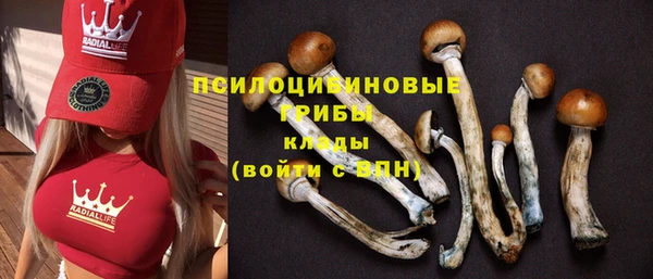 тгк Каменногорск