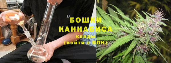 дурь Каменка