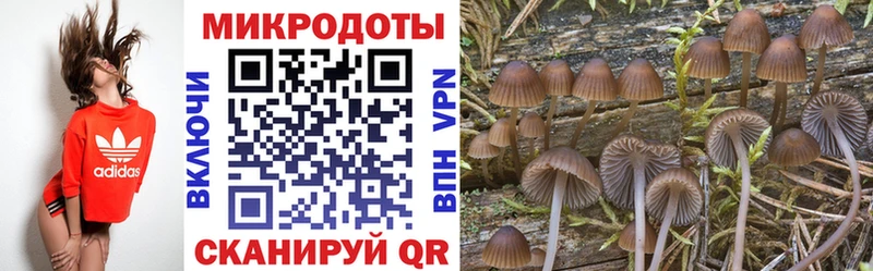 Купить где  Кушва  Галлюциногенные грибы ЛСД 